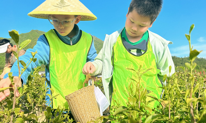 西北夏令營多少錢