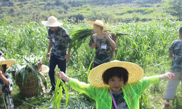 西北工農(nóng)兵學(xué)商夏令營