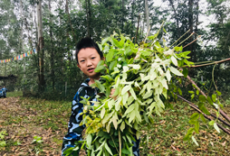 西南靠譜的夏令營(yíng)機(jī)構(gòu)有哪些