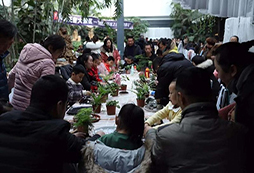 綠植知識課堂
