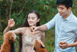 邢臺夏令營網(wǎng)站上的課程有什么特點？