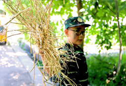 信號(hào)旗軍事夏令營(yíng)提高青少年的素質(zhì)教育