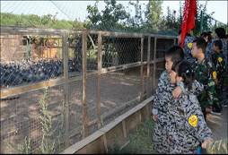參加新疆心智夏令營讓孩子勇敢的面對挑戰(zhàn)