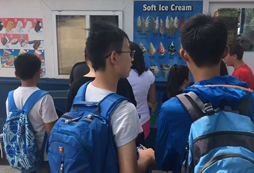 新西蘭游學(xué)的費(fèi)用貴不貴？
