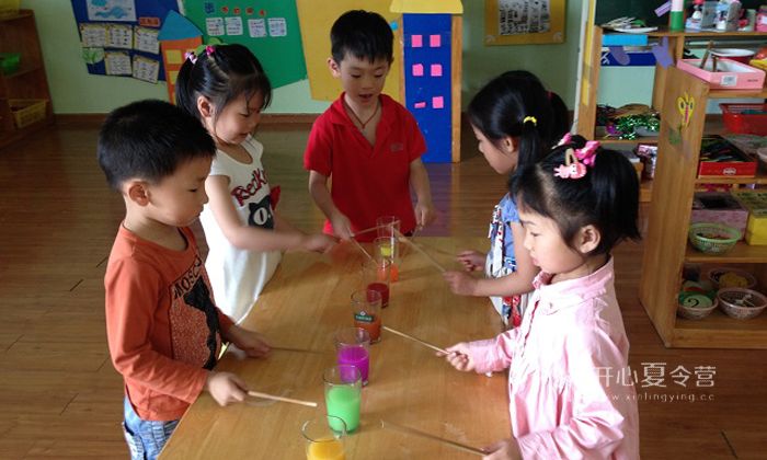中小學(xué)生心智夏令營