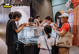 好未來熊貓博士7天新加坡之旅怎么樣