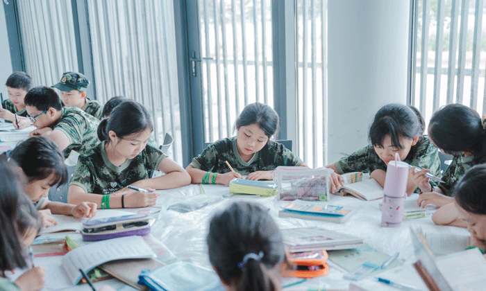國內(nèi)學(xué)能夏令營多少錢