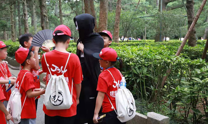 國內(nèi)學(xué)能夏令營多少錢
