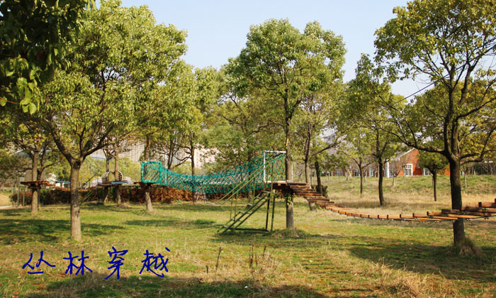 叢林穿越