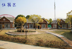 合肥童子軍夏令營成就精英少年