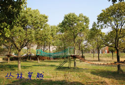 雄鷹童子軍訓練營帶給孩子們的好處