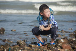 去趕海