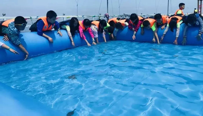 2024煙臺暑假夏令營