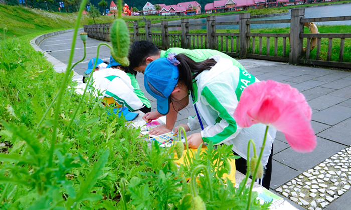 一周研學(xué)夏令營報名哪家好