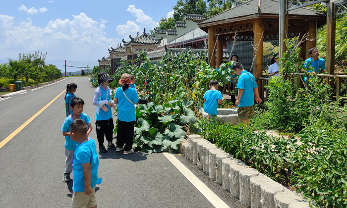 研學夏令營活動排行榜