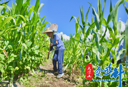 8天中學生研學夏令營哪家好？正規(guī)機構(gòu)推薦