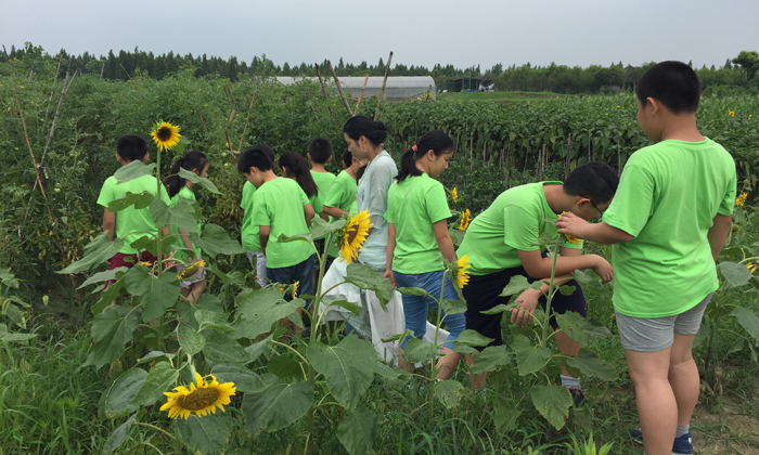 小學生研學夏令營好不好