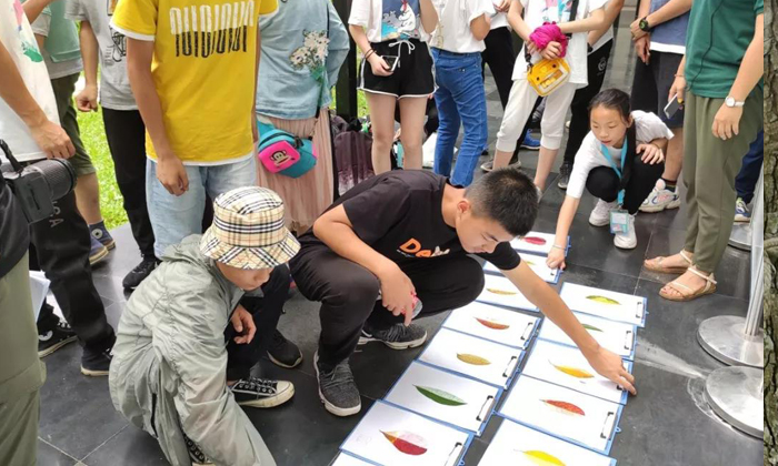 小學(xué)生研學(xué)夏令營有哪些