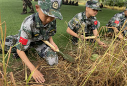 宜昌軍事夏令營(yíng)活動(dòng)有哪些特色？