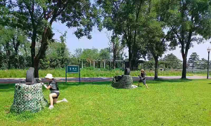 英語夏令營報名多少錢