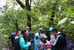 國內藝術夏令營機構有哪些