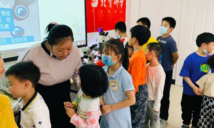 國內(nèi)小學(xué)生文化夏令營有哪些