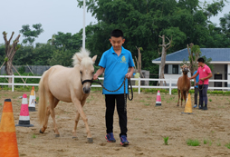 牽著小馬