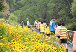 暑假參加游學(xué)夏令營(yíng)給孩子帶來(lái)的好處