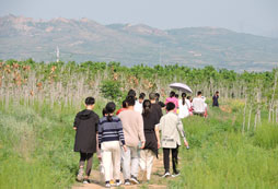 參加游學(xué)夏令營感受森林自然教育的魅力