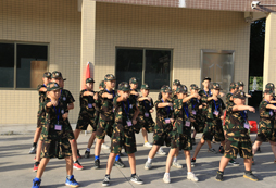 軍體拳