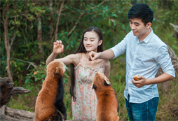 云南7天親子探索營和你一起了解野生動物