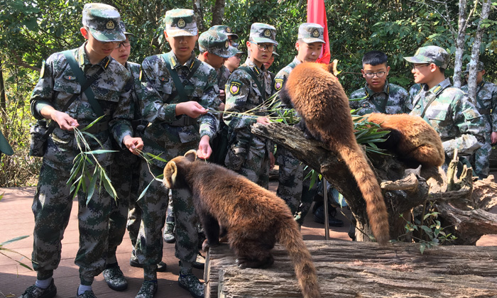 云南軍事夏令營(yíng)多少錢