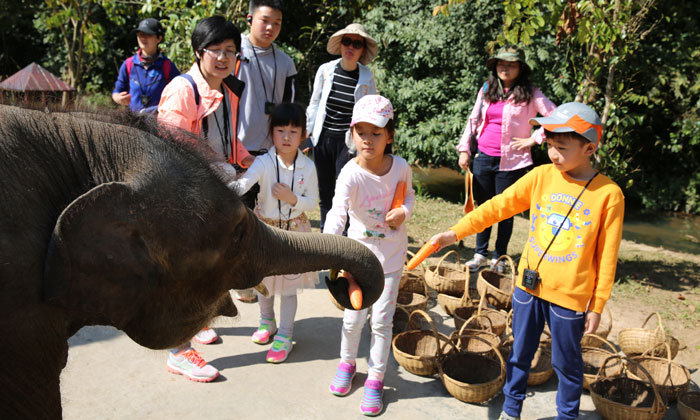 云南夏令營怎么樣