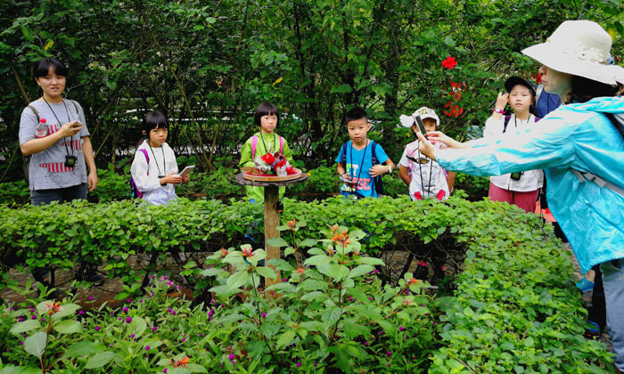 云南夏令營在哪兒