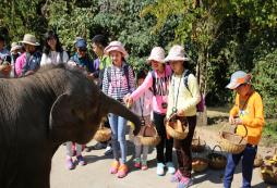 參加云南青少年夏令營(yíng)一起走進(jìn)神奇的云南