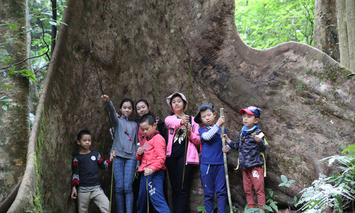 c990810af15eb06a0f9f4fee6e477545.jpg