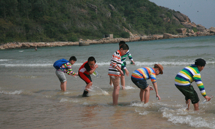 海邊抓魚