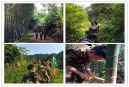 浙江有去深山的素質(zhì)拓展夏令營(yíng)嗎？