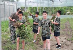 浙江7天軍事夏令營的開營時間是什么時候