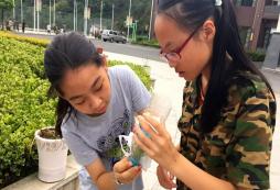 暑期參加浙江軍事夏令營活動的作用