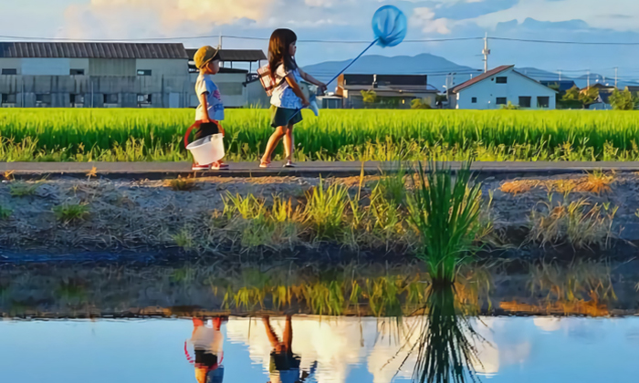 2024浙江青少年戶外拓展夏令營