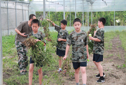 浙江暑期夏令營(yíng)2018傾心推出半軍事半減肥課程