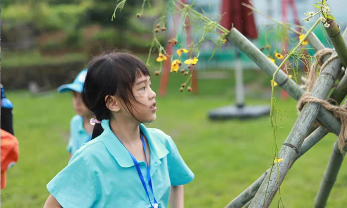 浙江小學生夏令營哪個好