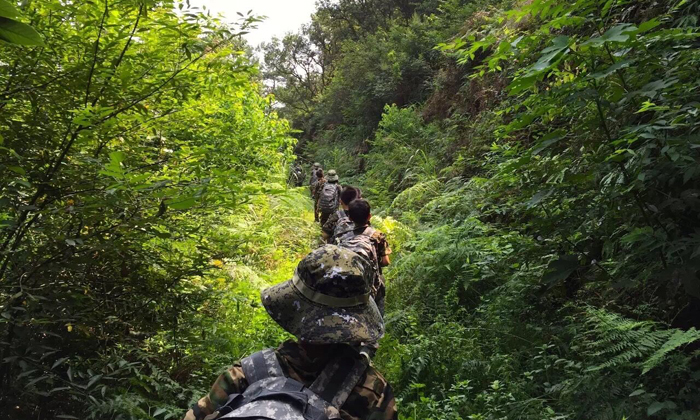 浙江軍事夏令營