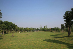 鄭州秀園拓展訓(xùn)練基地