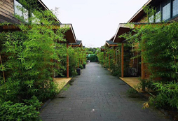 鄭州蘇荷湖拓展訓(xùn)練基地