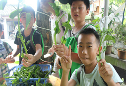 鄭州夏令營(yíng)哪家更加值得推薦