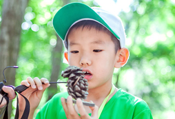 中小學(xué)生可以參加的暑假夏令營有哪些？
