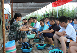 周邊軍事?tīng)I(yíng)中的拓展活動(dòng)有哪些？
