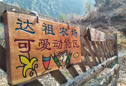 舟山減肥夏令營的價格貴不貴